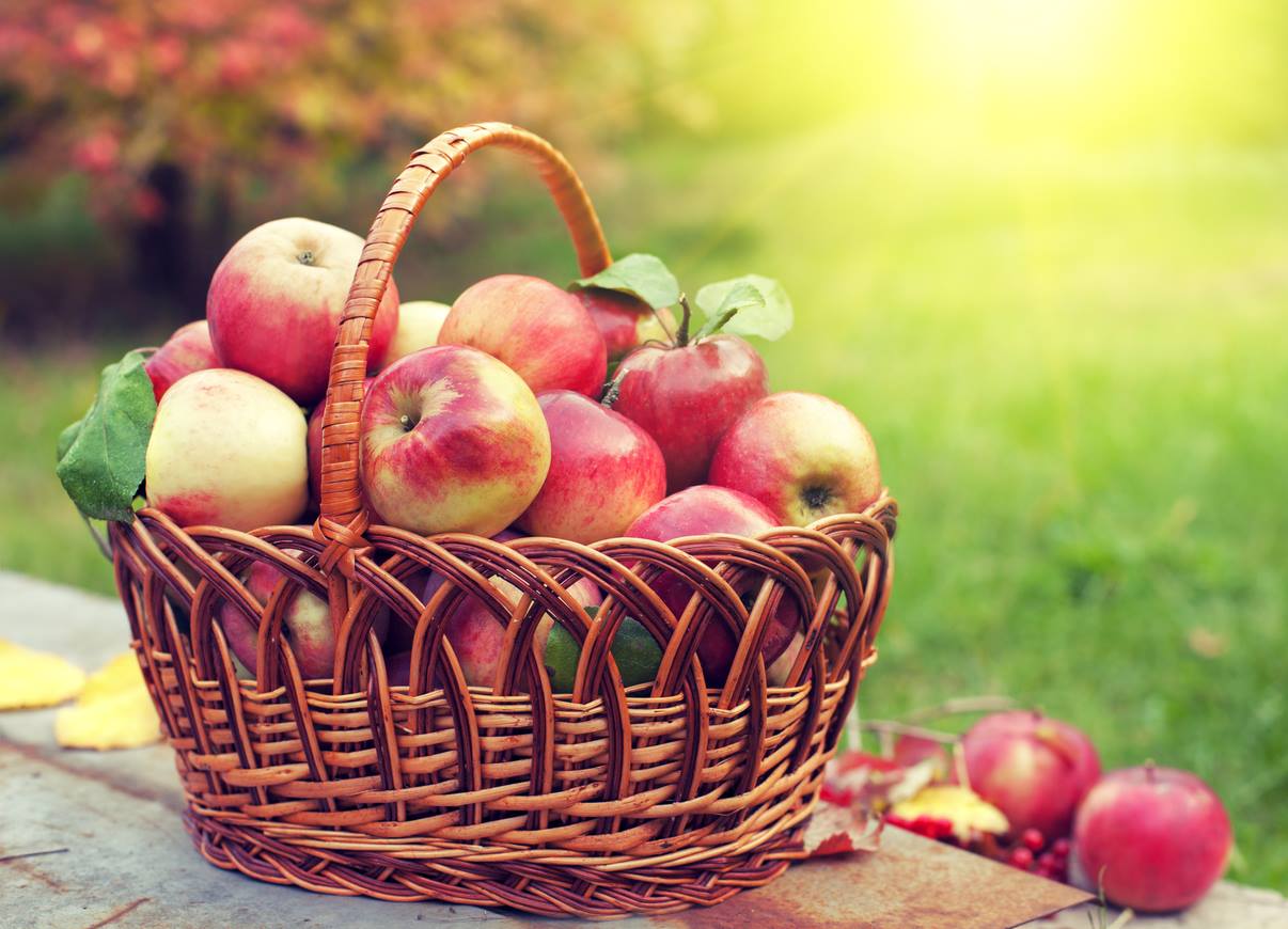 Что означает праздник Яблочный спас