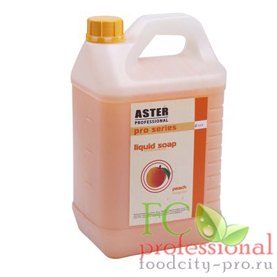     5   ASTER    ''ASTER''   1/3